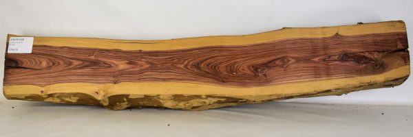 Kingwood - rustic - Image 2