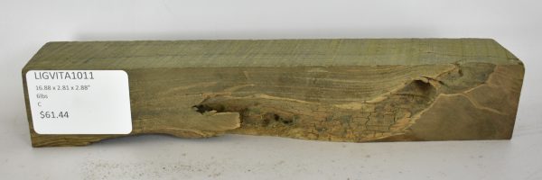 Lignum Vitae - Argentine - Image 2