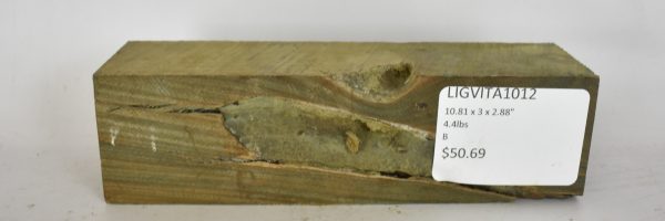 Lignum Vitae - Argentine - Image 2