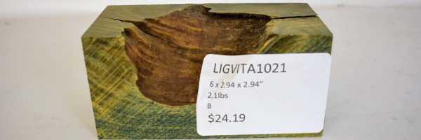Lignum Vitae - Argentine - Image 2