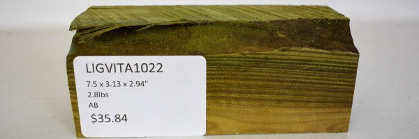 Lignum Vitae - Argentine - Image 2