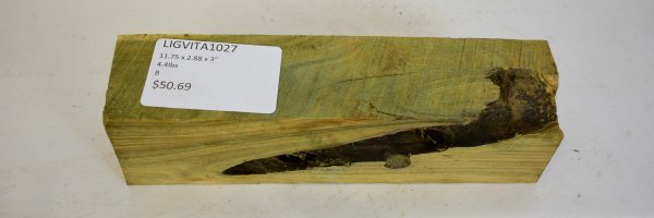 Lignum Vitae - Argentine - Image 2