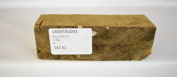 Lignum Vitae - Argentine - Image 2