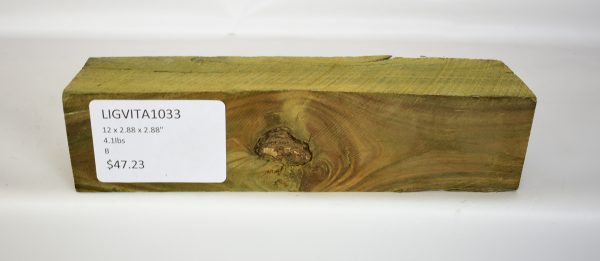 Lignum Vitae - Argentine - Image 2
