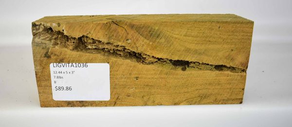 Lignum Vitae - Argentine