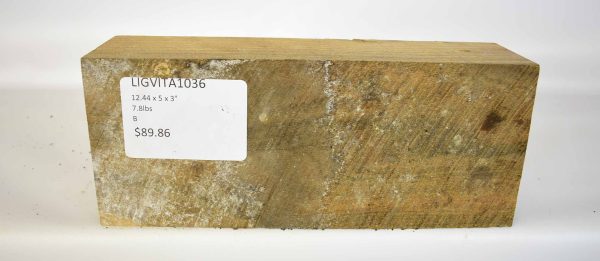 Lignum Vitae - Argentine - Image 2