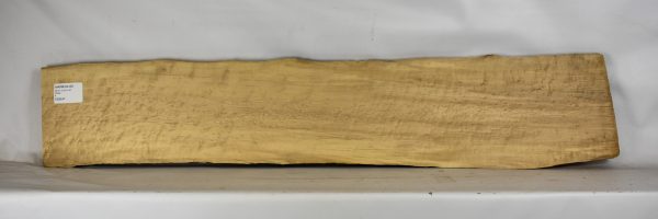 Maple - Birdseye - Image 2