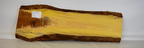 Rosewood - Patagonian