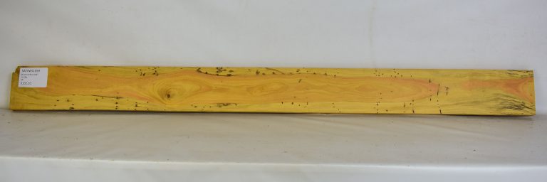 SATINEI1059 1