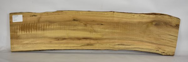 Stinkwood
