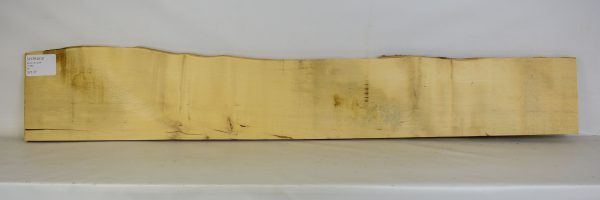 Sycamore - French - Image 2