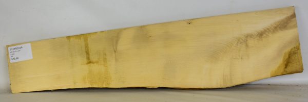 Sycamore - French