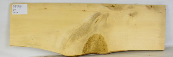 Sycamore - French
