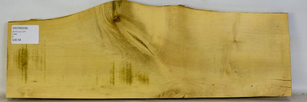 Sycamore - French - Image 2