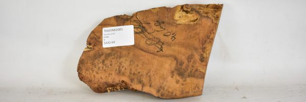Thuya Burl - Image 2