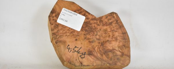 Thuya Burl
