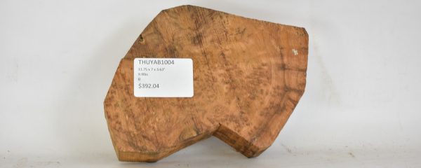 Thuya Burl - Image 2