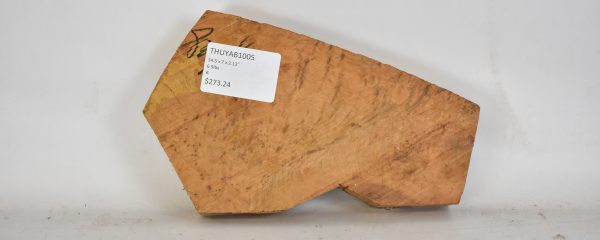 Thuya Burl - Image 2