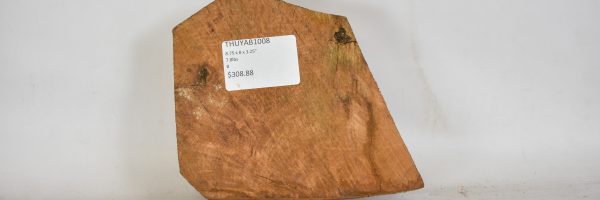 Thuya Burl