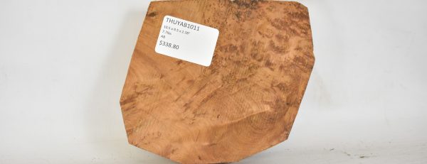 Thuya Burl