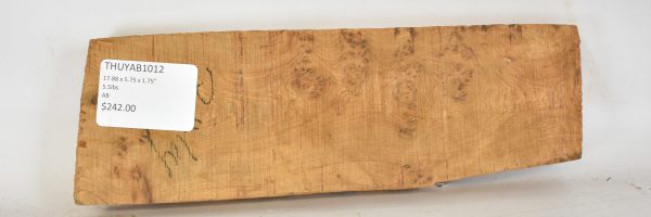 Thuya Burl