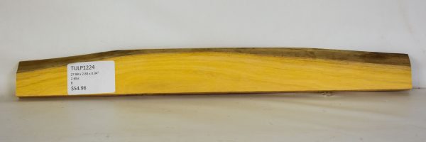 Tulipwood - Prime