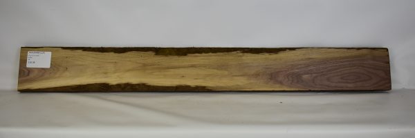 Walnut - American (1 common)