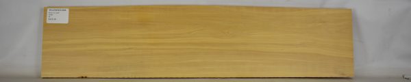 Yellowwood - Image 2