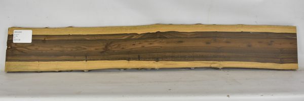 Ziricote - Image 2