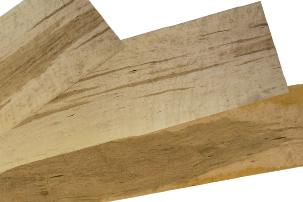 Birdseye Maple - Exotic Wood - Acer saccharum