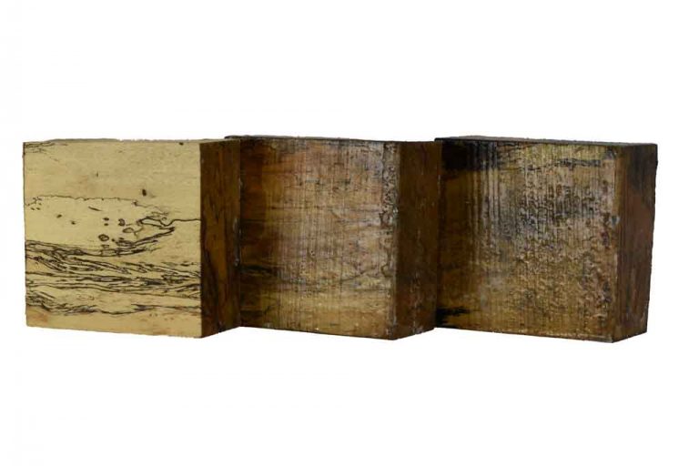 Bowl Blanks - Tamarind - Spalted 4 tamspalt 1
