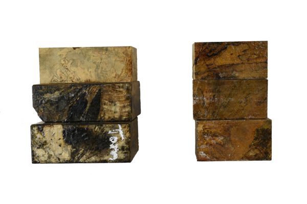 Bowl Blanks - Tamarind - Spalted - Image 2