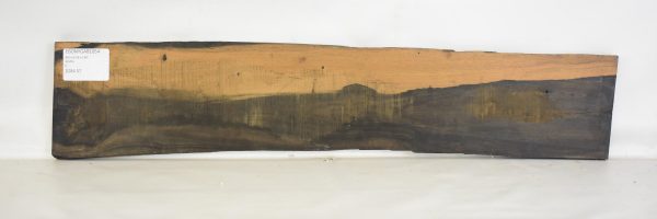 Ebony - Gabon
