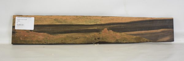 Ebony - Gabon - Image 2