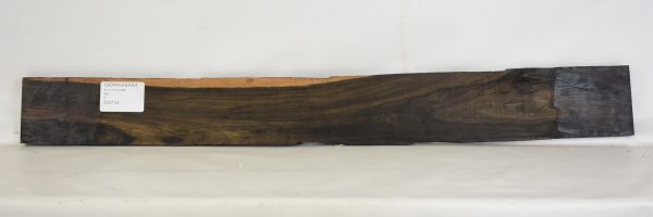 Ebony - Gabon - Image 2