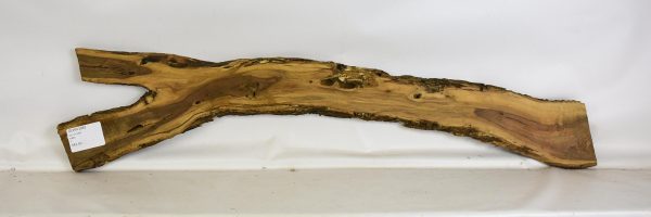 Olive - Wild - Image 2