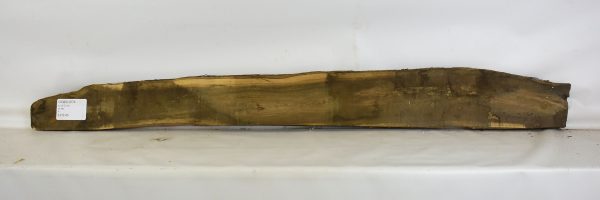 Olive - Wild - Image 2