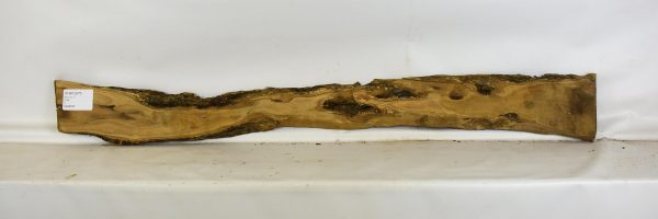 Olive - Wild - Image 2