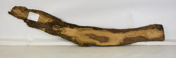 Olive - Wild - Image 2