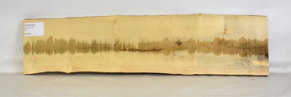 Sycamore - French - Image 2