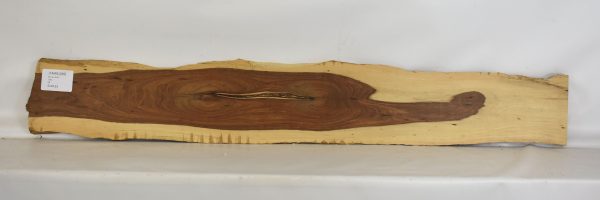 Tamboti - Image 2