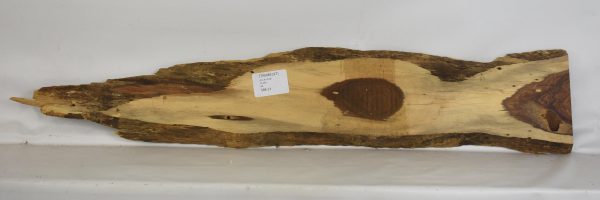 Tamboti - Image 2