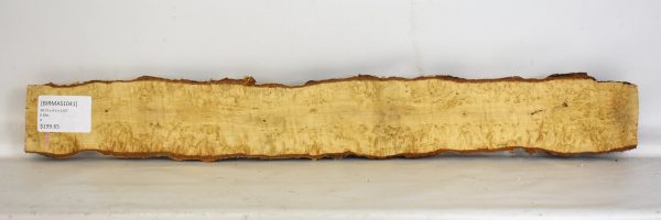 Birch - Masur - Image 2
