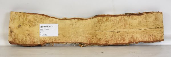 Birch - Masur