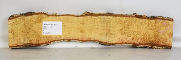 Birch - Masur - Image 2