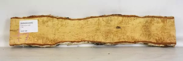 Birch - Masur - Image 2