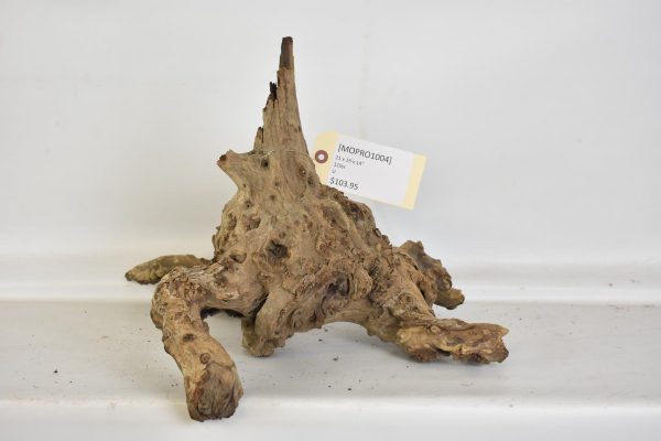 Mopane Roots