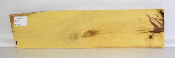 Osage Orange - Image 2