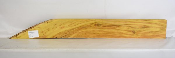 Osage Orange - Image 2