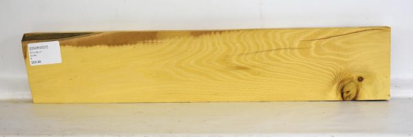 Osage Orange